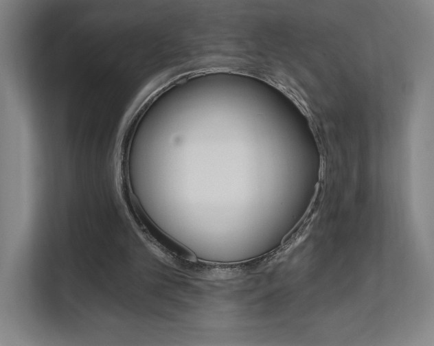 X0000112080101200908041018
