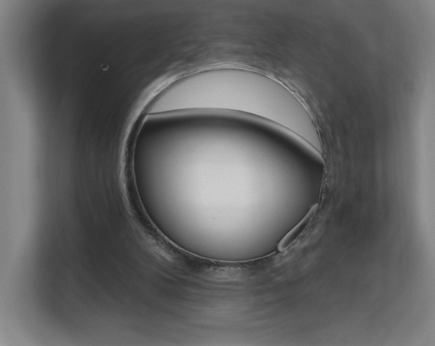 X0000112080104200908041018