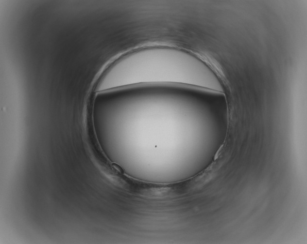 X0000112080108200908041018