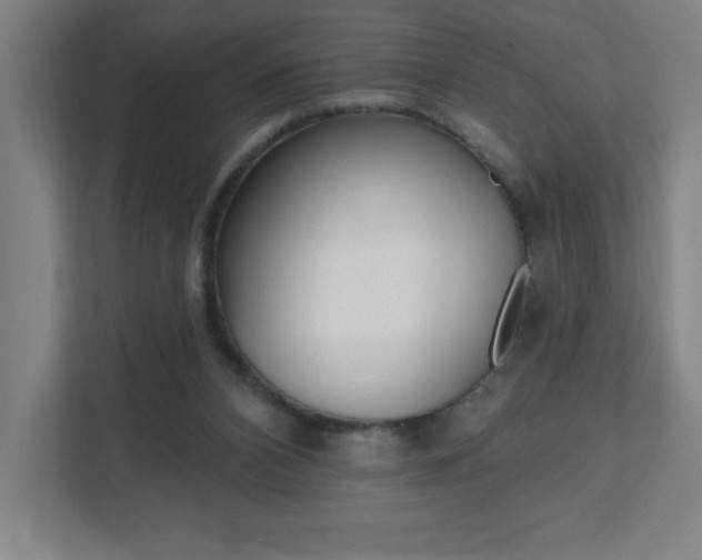 X0000112080112200908041018