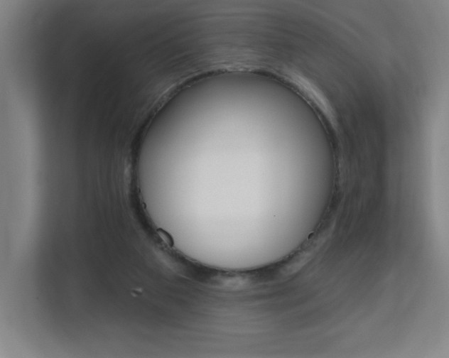 X0000112080113200908041018