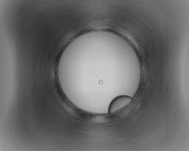 X0000112080114200908041018