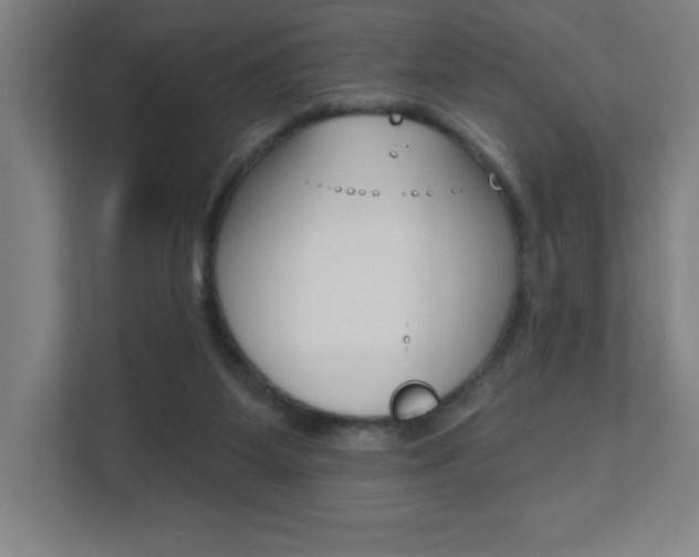 X0000112080115200908041018