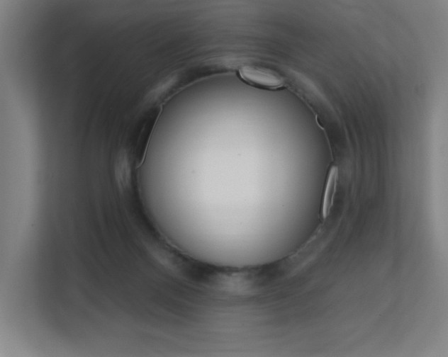 X0000112080120200908041018