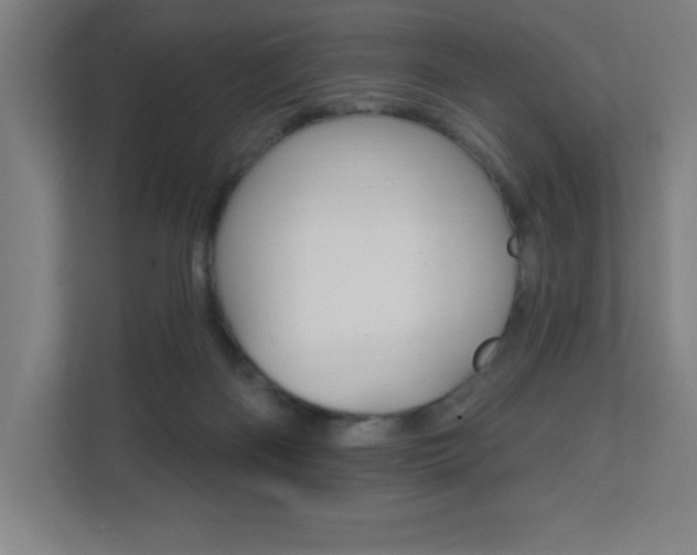 X0000112080122200908041018