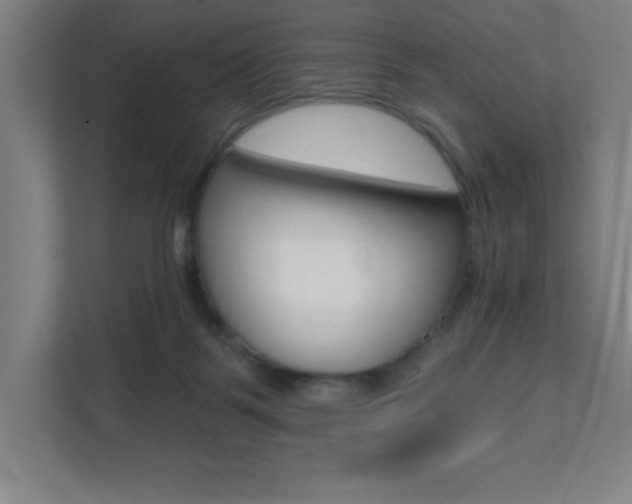 X0000112080123200908041018