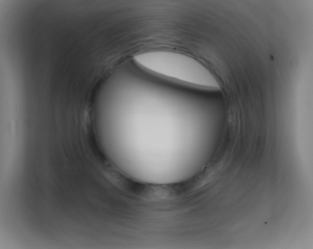 X0000112080127200908041018
