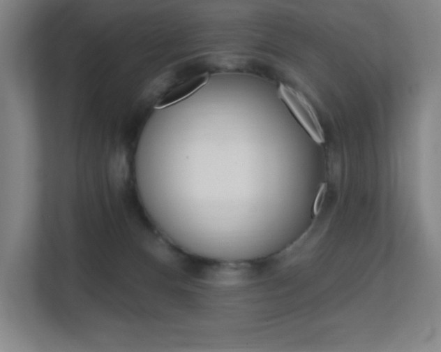 X0000112080128200908041018