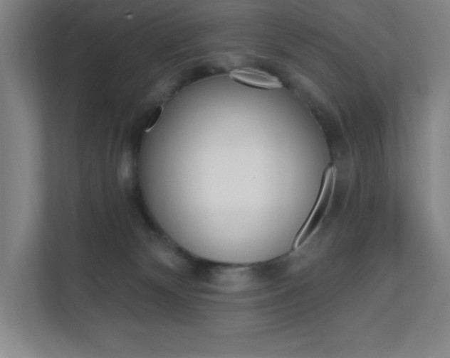 X0000112080132200908041018