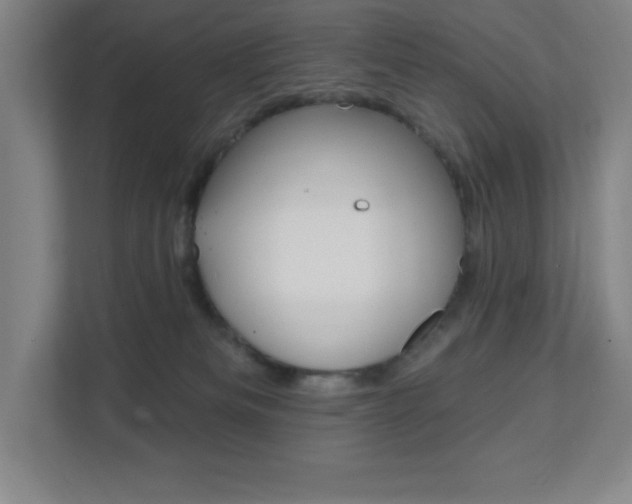 X0000112080133200908041018