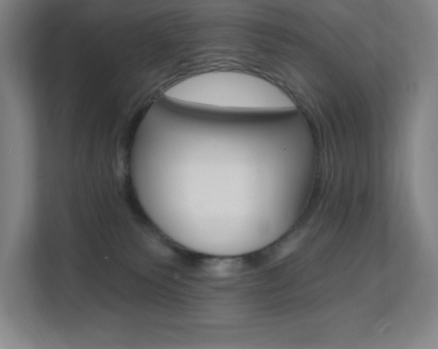 X0000112080135200908041018