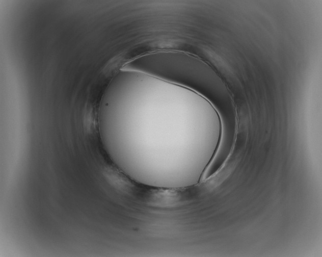 X0000112080140200908041018