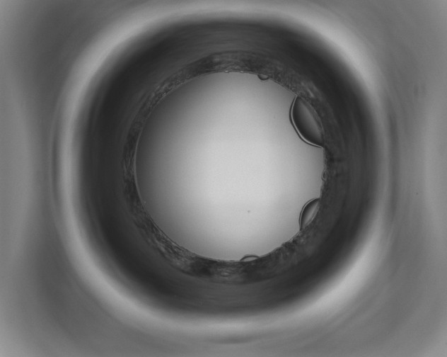 X0000112080143200908041018