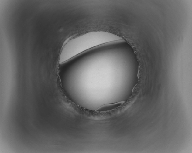 X0000112080144200908041018