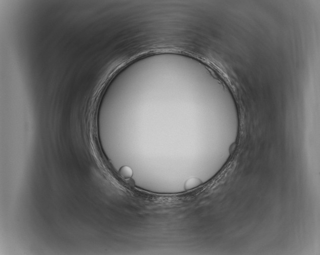 X0000112080145200908041017