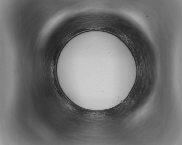 X0000112080146200908041017
