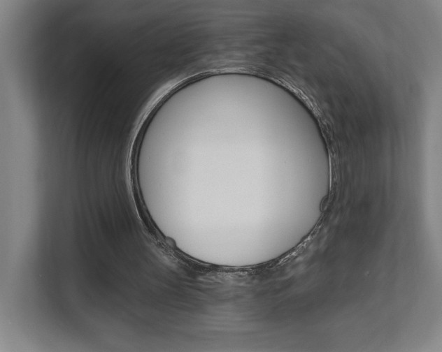 X0000112080147200908041017