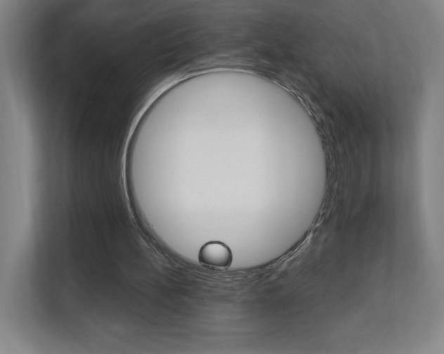 X0000112080148200908041017