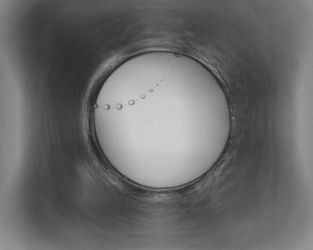X0000112080149200908041017