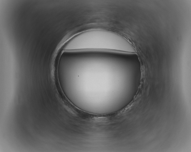X0000112080150200908041017