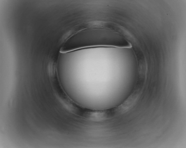 X0000112080168200908041018