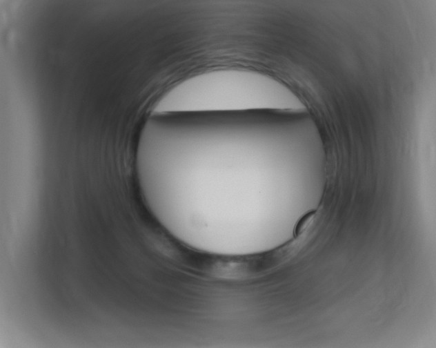 X0000112080174200908041018