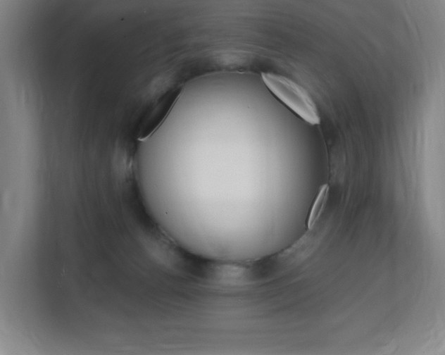 X0000112080176200908041018