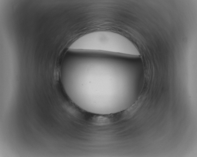 X0000112080180200908041018