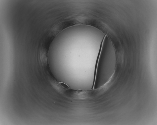 X0000112080186200908041018