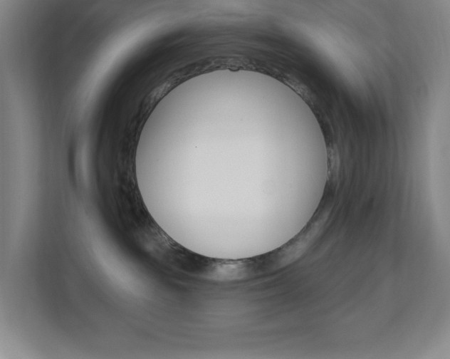 X0000112080189200908041018