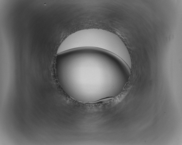 X0000112080192200908041018