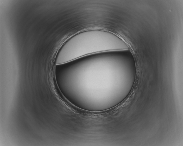 X0000112080193200908041017