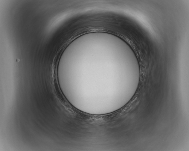 X0000112080194200908041017