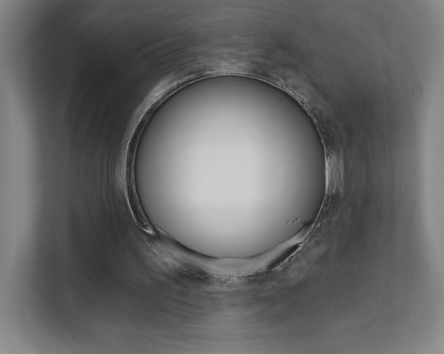 X0000112080195200908041017