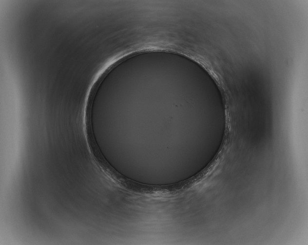 X0000112080196200908041017
