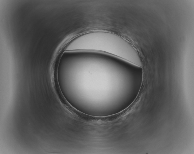X0000112080197200908041017