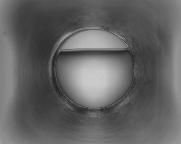X0000112080200200908041017
