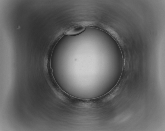 X0000112080201200908041017