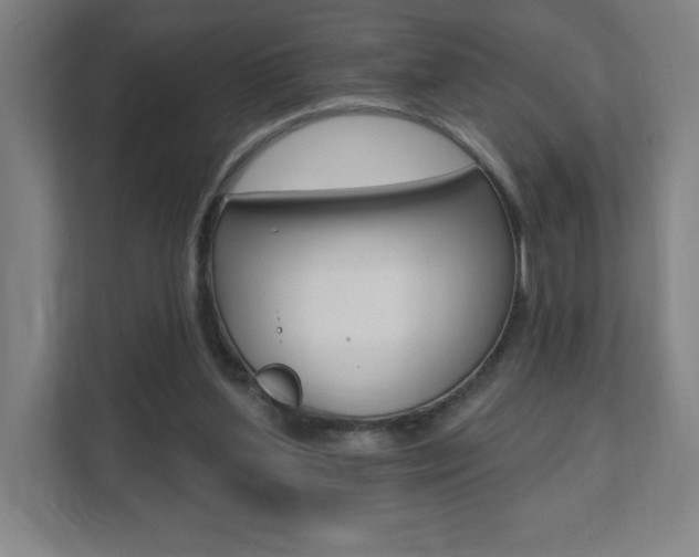 X0000112080204200908041017