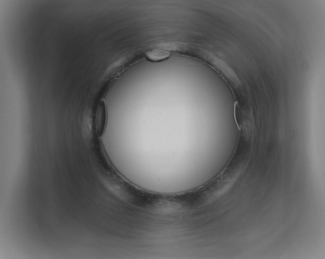 X0000112080207200908041017