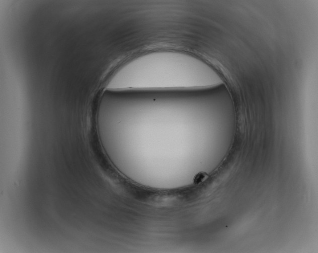 X0000112080208200908041017