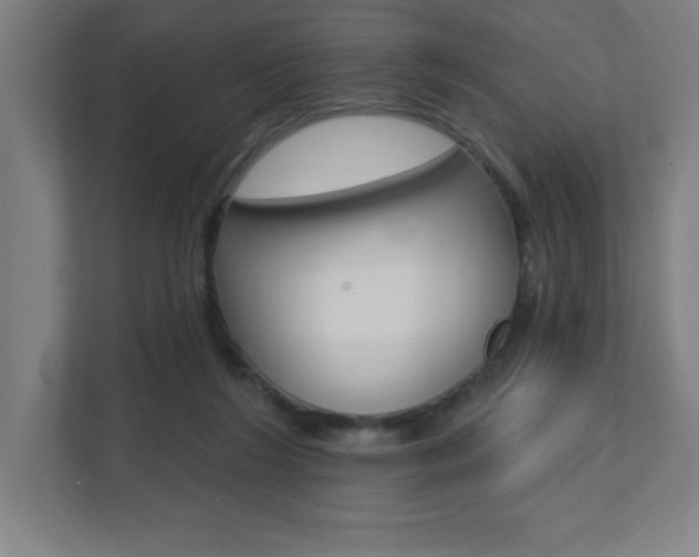 X0000112080212200908041017
