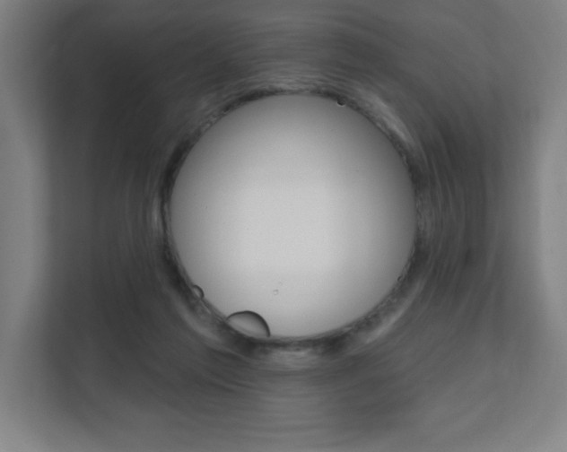 X0000112080213200908041017