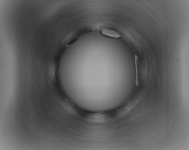 X0000112080219200908041017