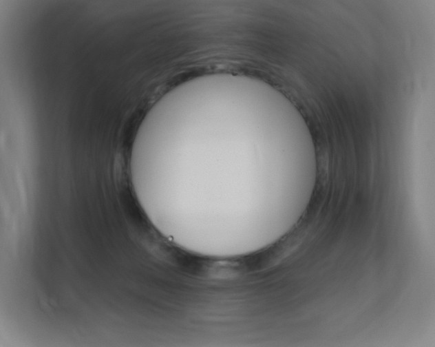X0000112080222200908041017