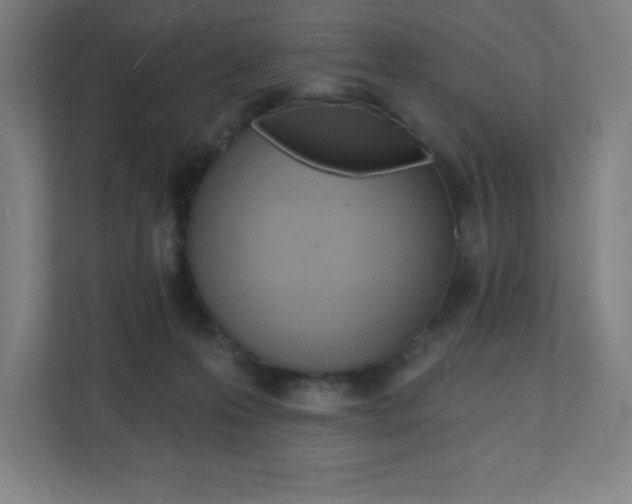 X0000112080223200908041017