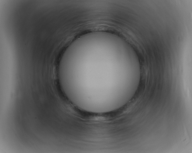 X0000112080224200908041017