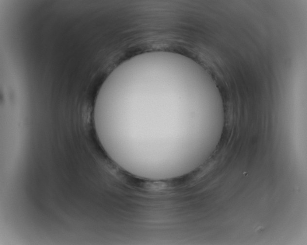 X0000112080230200908041017