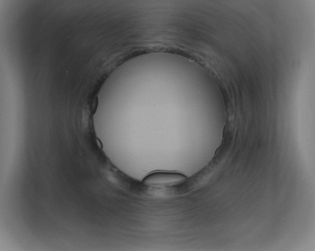 X0000112080231200908041017