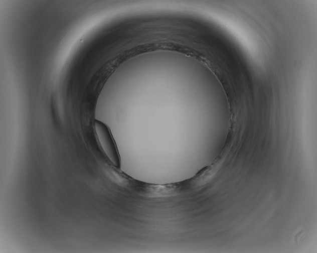 X0000112080239200908041017